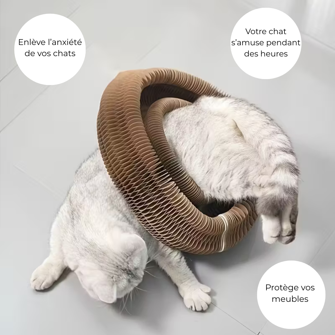 Griffoir Interactif pour Chat avec Jouet – Animaris™