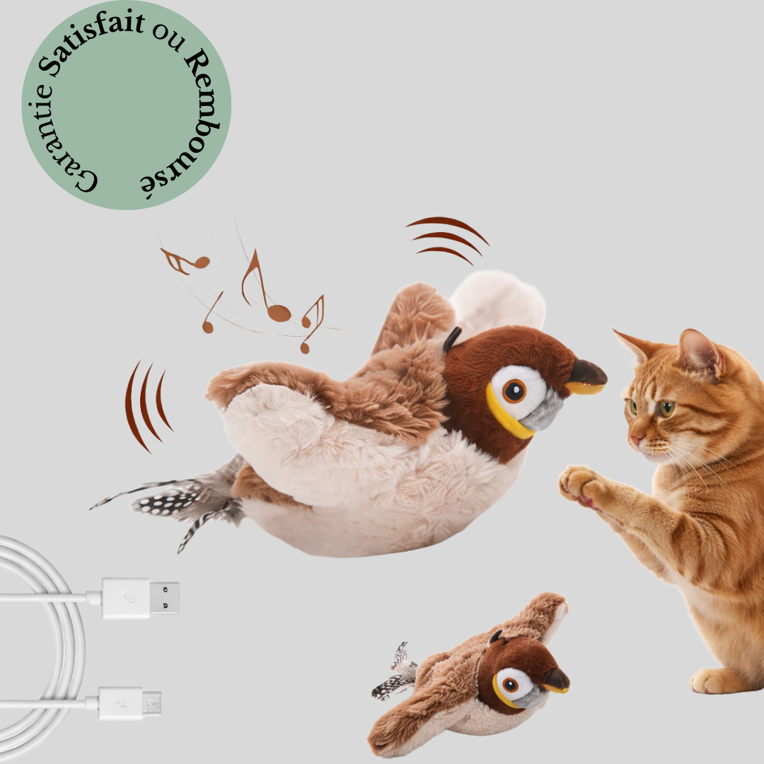 FlyBird 2.0 | Oiseau Rechargeable pour Chat  – Animaris™