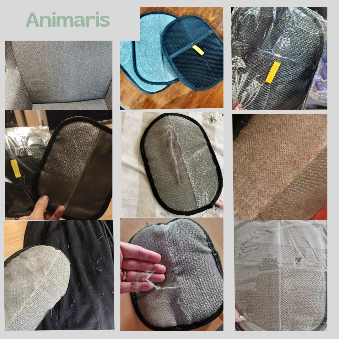 Pack Essentiel  | Gant Anti-Poils + Jouet Fly Bird - Animaris™