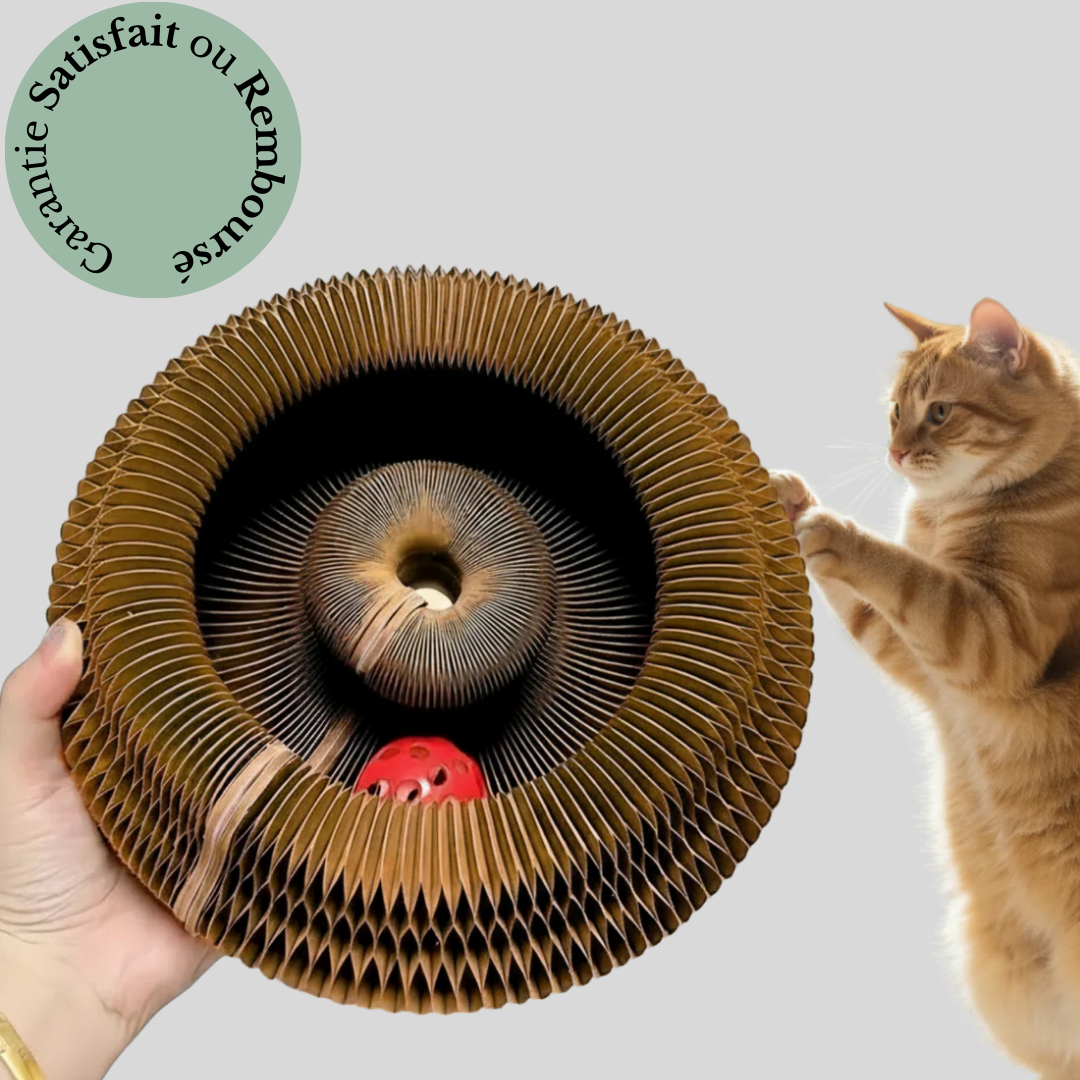 Griffoir Interactif pour Chat avec Jouet – Animaris™